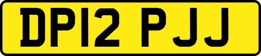 DP12PJJ