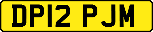 DP12PJM