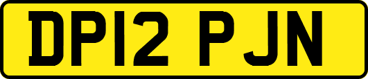 DP12PJN