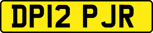 DP12PJR