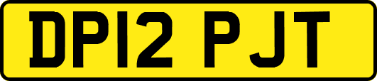 DP12PJT