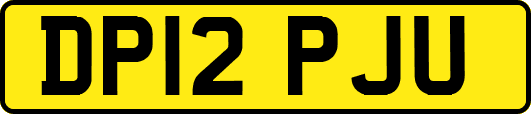 DP12PJU