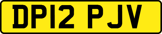 DP12PJV