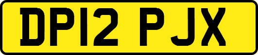 DP12PJX