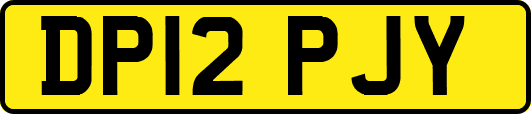 DP12PJY
