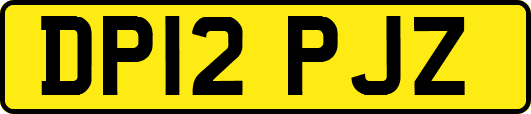 DP12PJZ