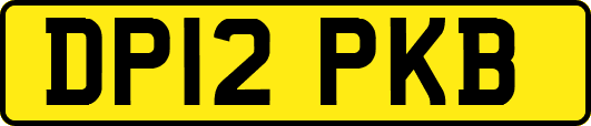 DP12PKB