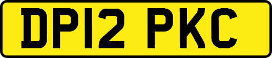DP12PKC