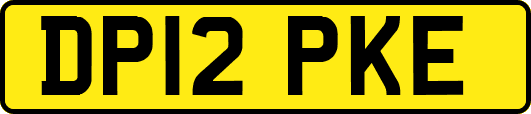 DP12PKE