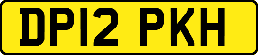 DP12PKH