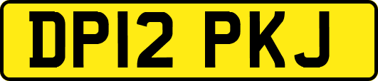 DP12PKJ