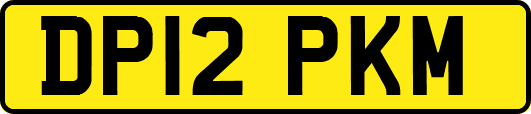 DP12PKM