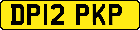 DP12PKP