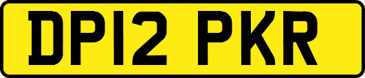 DP12PKR