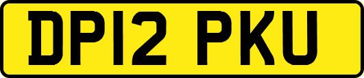 DP12PKU