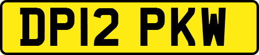 DP12PKW