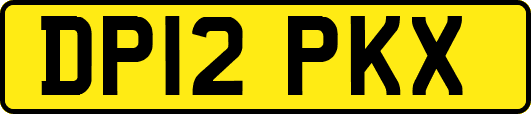 DP12PKX