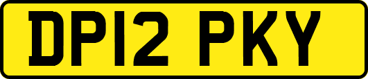 DP12PKY