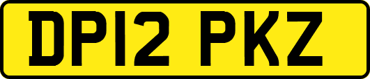 DP12PKZ