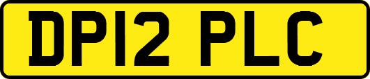DP12PLC