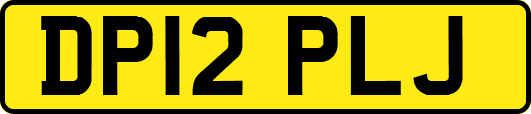 DP12PLJ