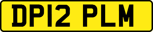 DP12PLM