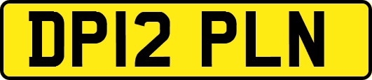 DP12PLN