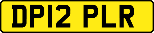 DP12PLR