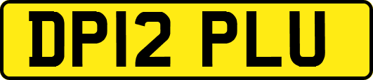 DP12PLU