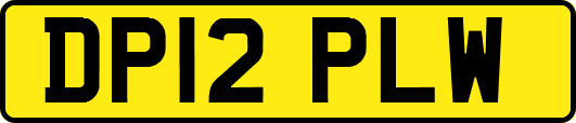 DP12PLW