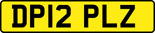 DP12PLZ