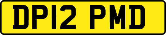 DP12PMD