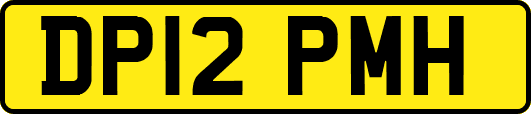 DP12PMH