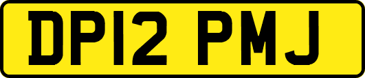 DP12PMJ