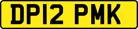 DP12PMK