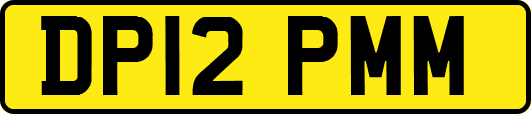 DP12PMM