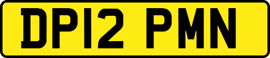 DP12PMN