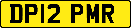 DP12PMR