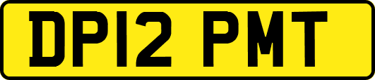 DP12PMT