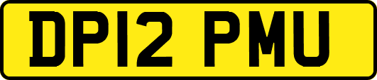 DP12PMU