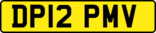 DP12PMV
