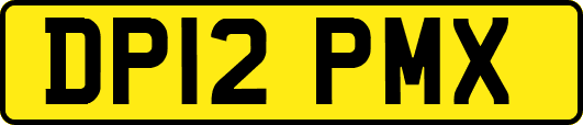 DP12PMX