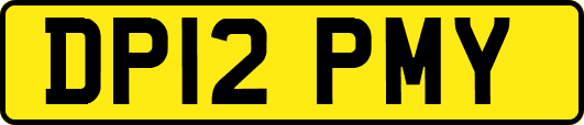 DP12PMY