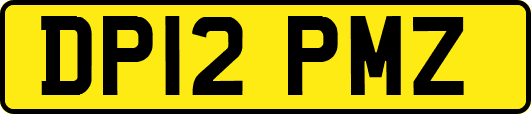 DP12PMZ