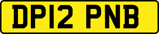 DP12PNB