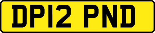 DP12PND