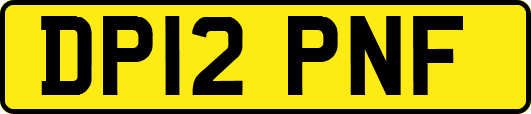 DP12PNF