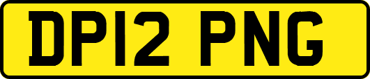 DP12PNG
