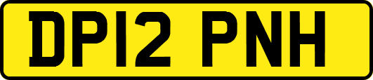DP12PNH