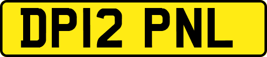 DP12PNL